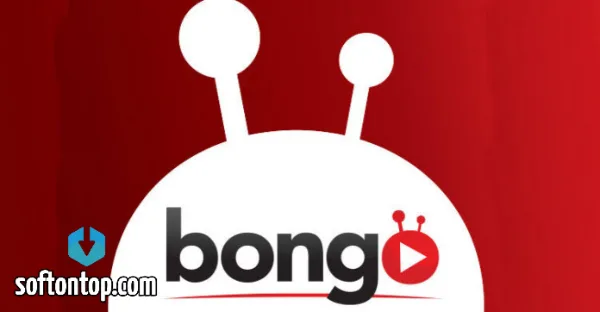 Bongo