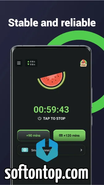 Melon VPN Pro APK