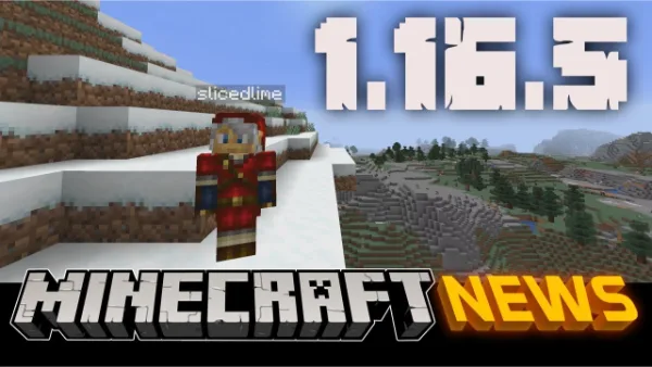 Minecraft 1.16.5