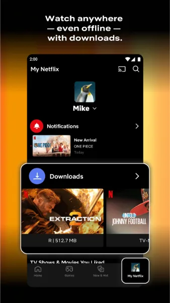 Netflix Mirror Mod APK